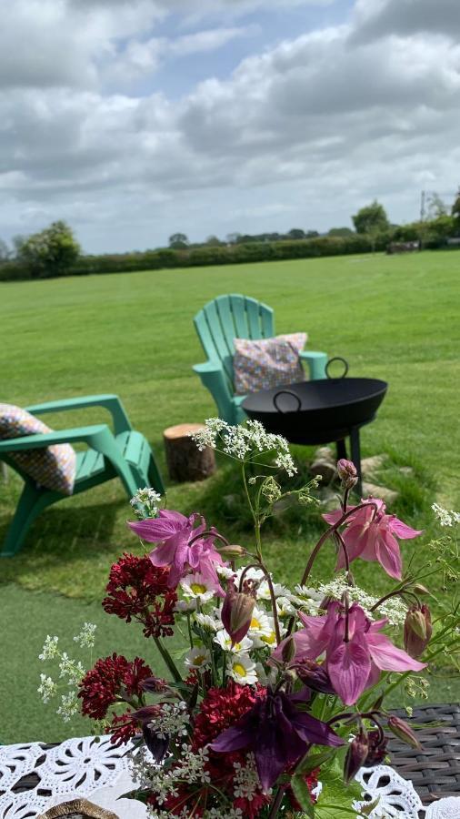 Willowdene Shepherds Hut Campsite