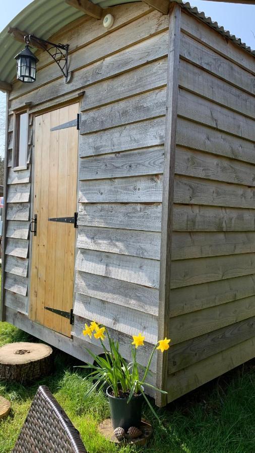 Campsite Willowdene Shepherds Hut *