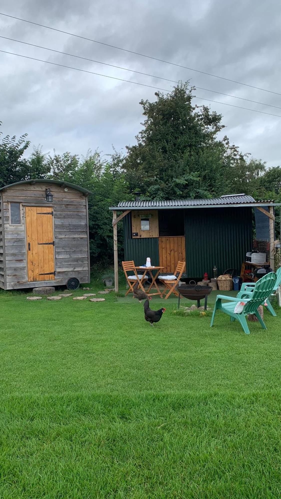 Willowdene Shepherds Hut Campsite *